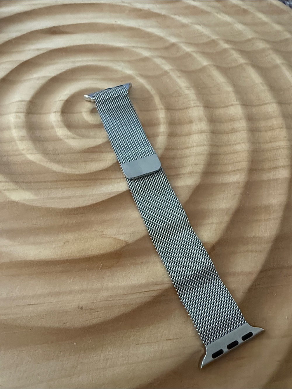 Apple Stainless Steel Mesh Milanese Watch Band